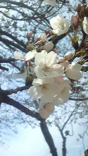 Image016.jpg