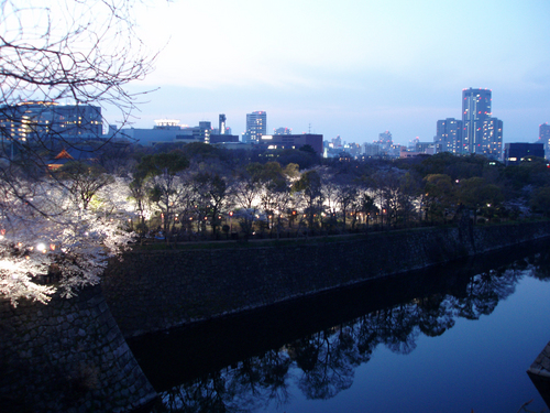 P4050107.jpg