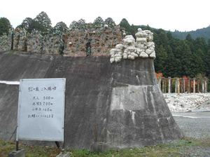 PB170479.jpg